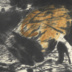 Ewige Wiederkehr (Detail) | 2023<br>Aquarell, Tusche, auf handgeschöpftem Papier<br>98 x 64 cm