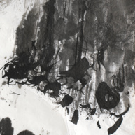 Klagevogel (Detail) | 2021<br>Tusche, Aquarell, Ölkreide, Leinöl auf Japanpapier<br>5,55 x 1,18 m